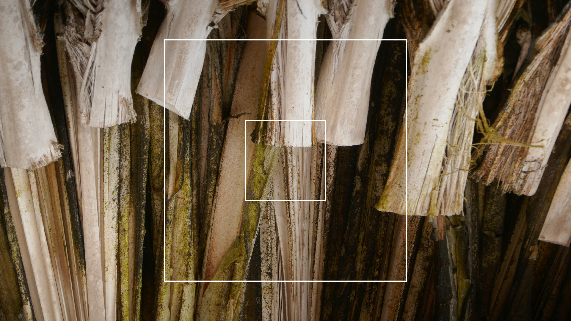 2022-10-29 13 Uhr 27 Playa Kalki (Foto, Video)